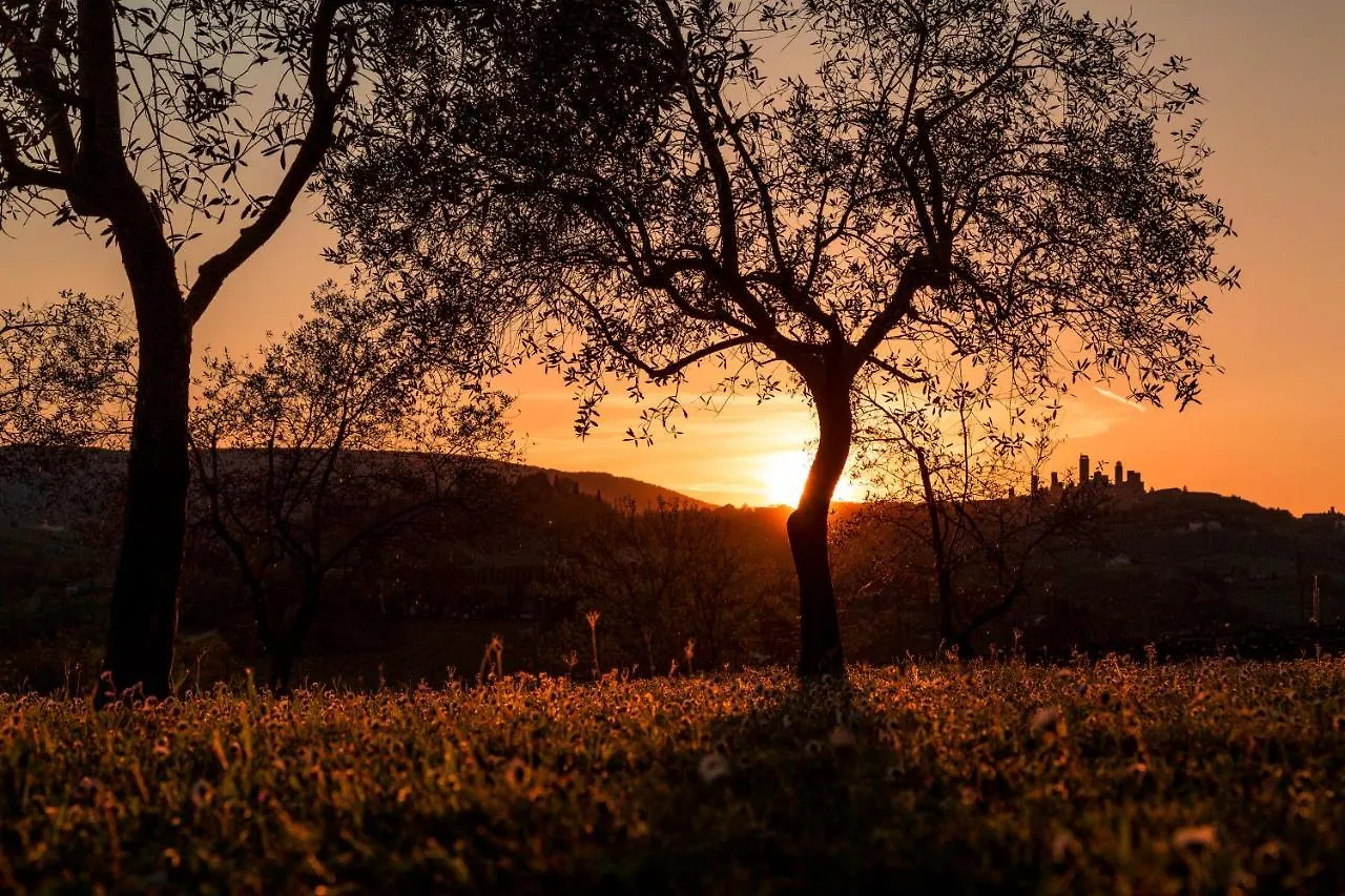 Agriturismo Il Segreto Di Pietrafitta Villa San Gimignano Italy
